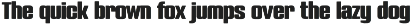 Ruvora – Bold Modern Display Font preview