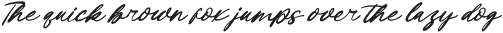 Bentaris Handwritten Ink Font preview