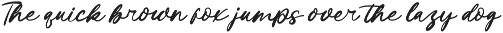 Bentaris Handwritten Ink Font preview