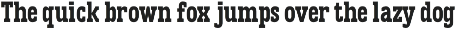 Vortiger – Modern Western Serif preview