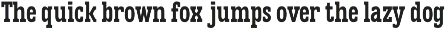 Vortiger – Modern Western Serif preview