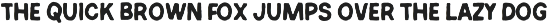 Wild Fragment - Handmade Font Duo preview