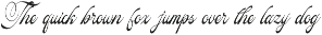 Pitholica Delicate Classic Script preview