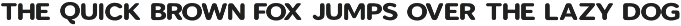 Ratsing Signature Script Sans Duo preview