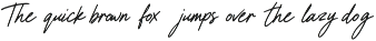 Ratsing Signature Script Sans Duo preview