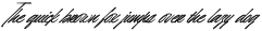 Bendor Signature preview