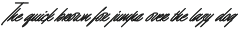 Bendor Signature preview