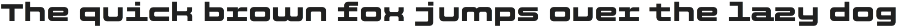 Flatface CTR-3 preview