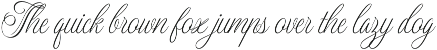 Dellatino - An Elegant Script Font preview