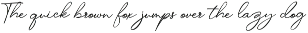 Raster Signature preview