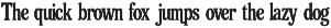 Retro Autumn - Vintage Serif Font preview
