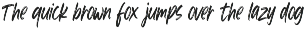 Wild Taker — Bold Brush Script Font preview