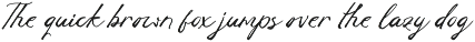 Jychoonle Handwritten Brush Font preview