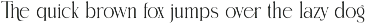 Thamy Elegant Serif Font preview