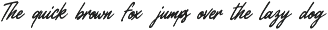 Fiethori Duo Sans Expressive Script preview