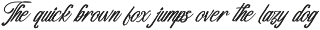 Vakantcy Modern Brush Script preview