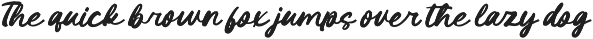 Outdoor Picnic Bold Brush Font preview