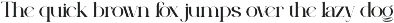 Peagen - Elegant Stylish Serif preview