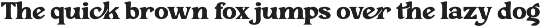 Pelank – Serif Font preview