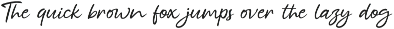 Bonskin - A Modern Script preview
