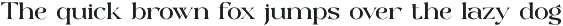 Molky Wolky – Elegant Display Serif preview
