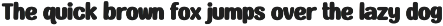 Boldly Endure _ Display Typeface preview