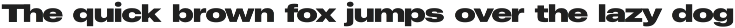 SANSTIC EXPAND - Modern Display Font preview
