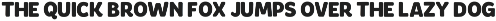 Rustic Snowy - Bold Christmas Font preview