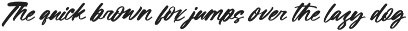 Revival Analog Bold Brush preview