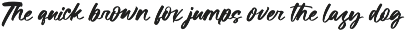 Revival Analog Bold Brush preview