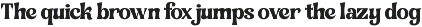 Floretta - Classy Retro Serif Font preview