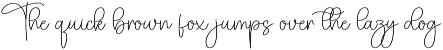 Calina Signature | Script Font preview