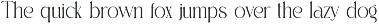 Miguen Elegant Serif Font preview