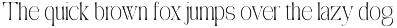 Aviluero Rasnora | 27 Font Files preview