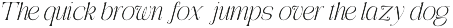 Aviluero Rasnora | 27 Font Files preview