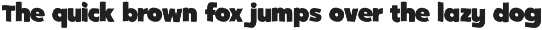 Boldo _ Display Font preview