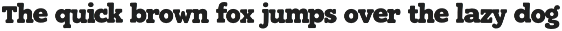 Figmont — Bold Retro Display Font preview