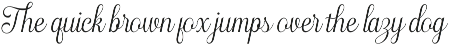 Haydenta - Calligraphic Script preview