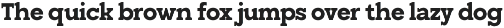 Giproda – Western Family Slab Serif preview