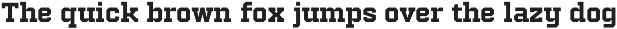 Evolta – Sport Slab Serif preview