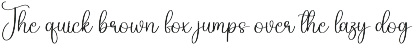 Vintage Wonderland | Script Font preview