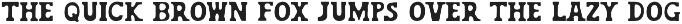 Work Horse – Vintage Wood Serif Font preview