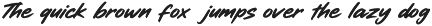 Rokugima Script Font Bold Brush preview