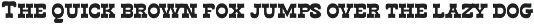 Coral Shore – Slab Serif Retro preview