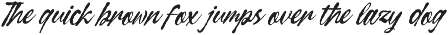 Curiousity Reuis Handwritten Script preview