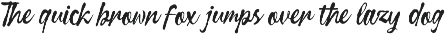 Curiousity Reuis Handwritten Script preview