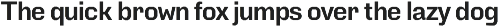 Perupa | Polygonal Sans Serif Family preview