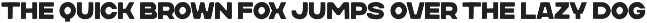 Daily Brew - Bold Display Cafe Font preview