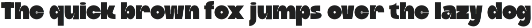 Ruya - Bold Inktrap Display Font preview