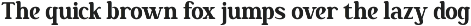 Nakota - Modern Clean Serif Font preview